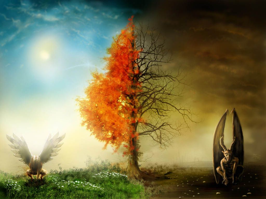 Duality