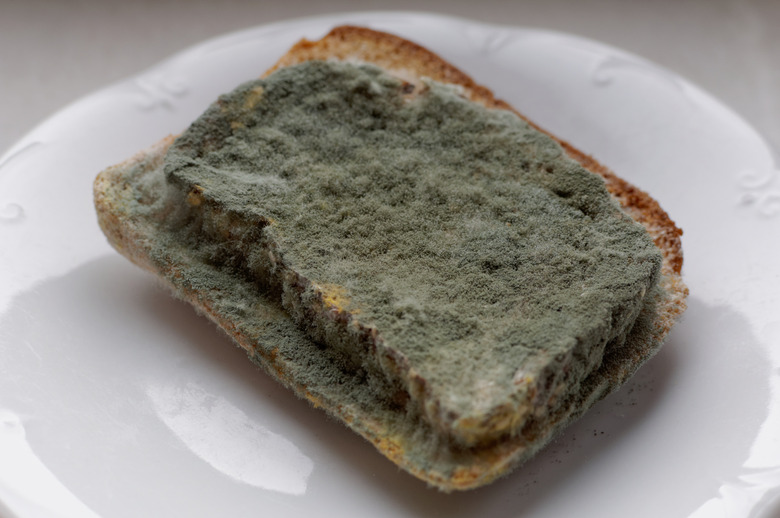 Mouldy slices of bread