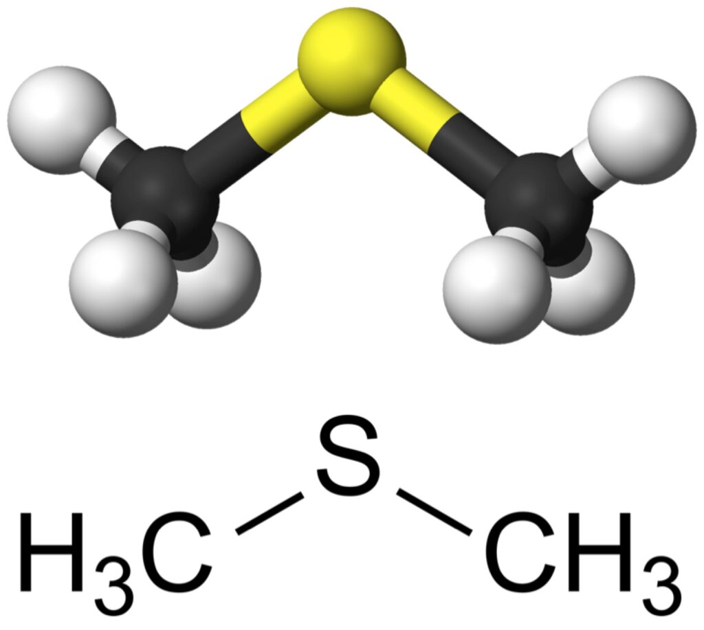 Dimethyl Sulfide